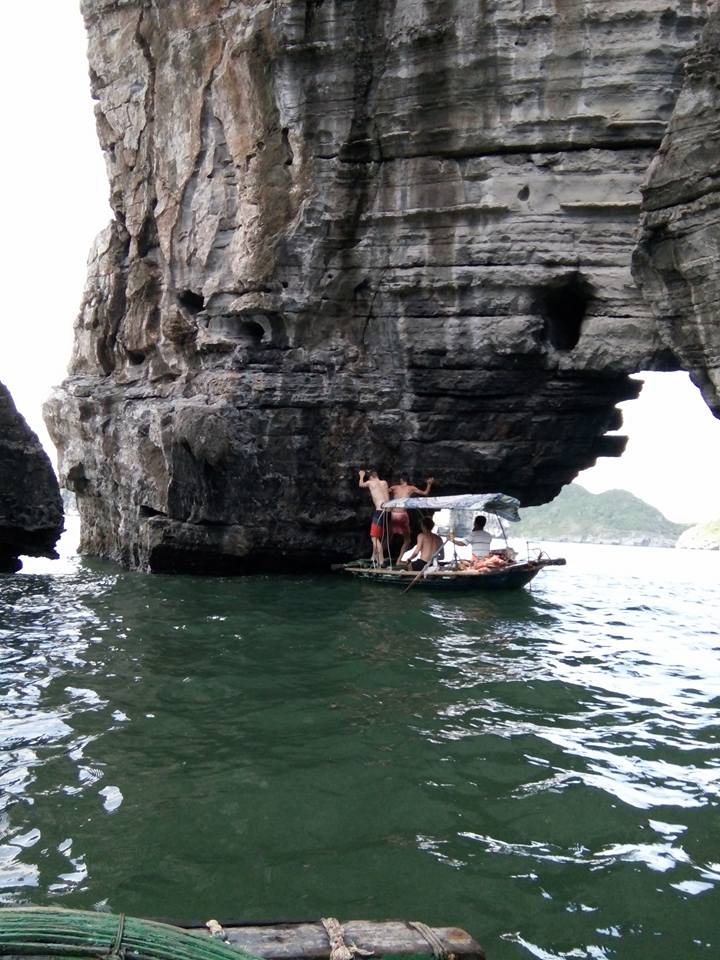 dongduecostay's tweet photo. DWS in Lan Ha bay https://t.co/C3a9zzssNq