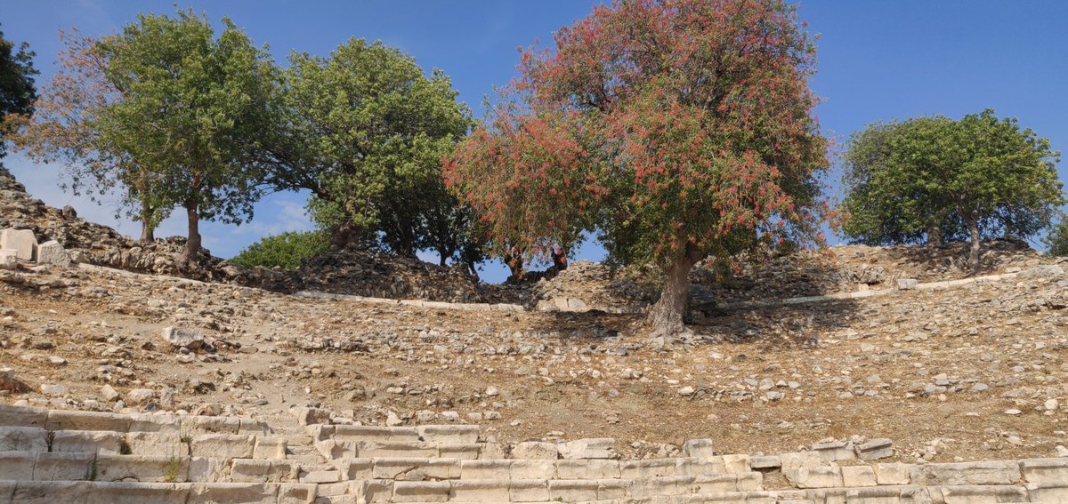 ali eser tweet media