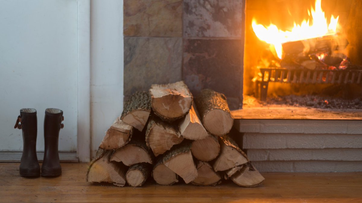 HealthandEnv's tweet photo. Our letter to @Europarl_EN ⤵

We call on the 🇪🇺 Parliament to stop classifying wood 🪓 as a renewable energy source in #REDIII and to end subsidies for it as an energy source.

📧👉 https://t.co/dBmUTm48p4

With @KlimaGesundheit @EPHA_EU #KlimaDocs #DGPH 

#BiomassPollution https://t.co/GGjQcqS42E
