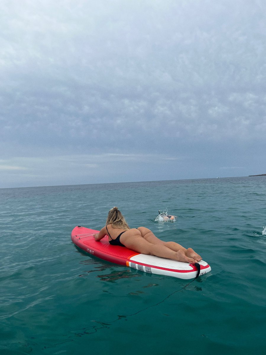 Bebe Rexha tweet media