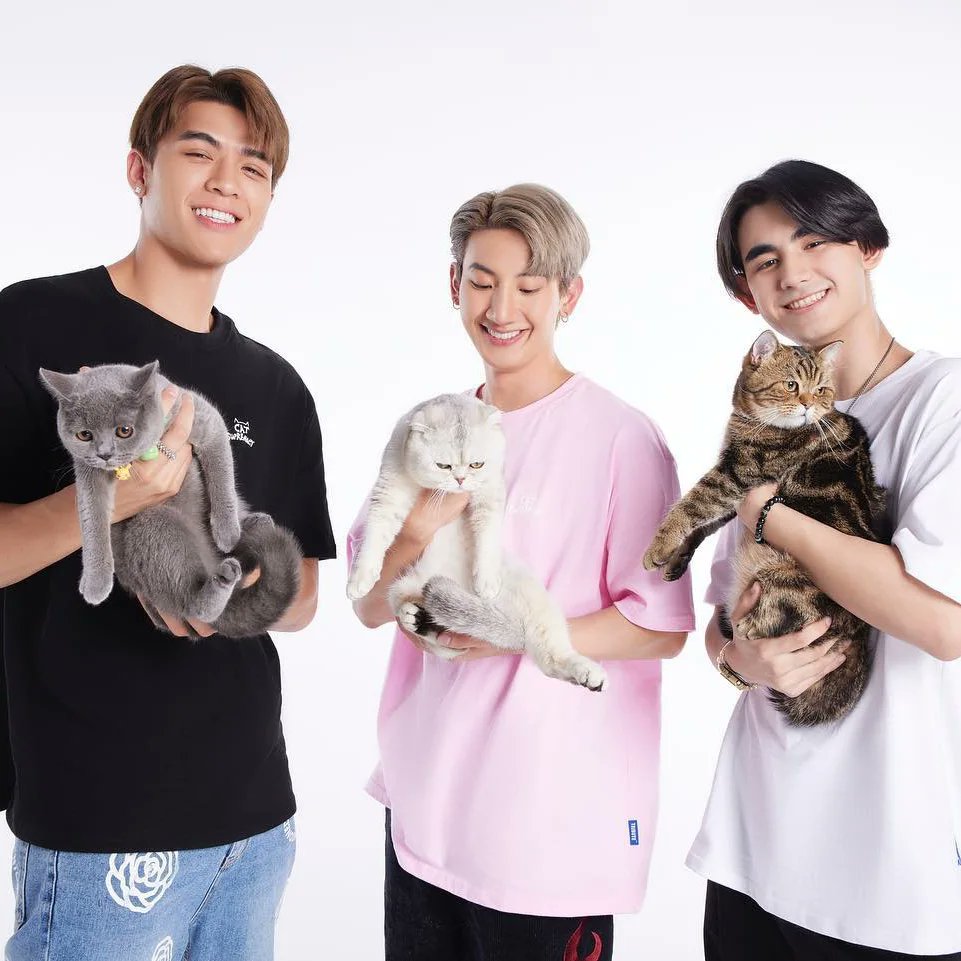 fcjosswayar's tweet photo. Tribute releases Cat Supremacy designed with Thai actors Joss Wayar, Toptap Jirakit and Drake Laedeke. Buy a shirt, help a cat! 

Cr : IG our_tribute

#TRIBUTE #트리뷰트 #ContributeWithTribute 
#OptToAdopt
#JossWayar
#จอสครับไม่ใช่จอร์ช
#FCJOSSWAYAR https://t.co/x1wSQYaSvQ