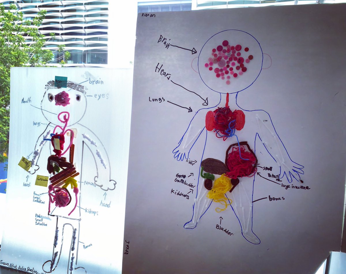 The meaningful integration of the #makerspace into our curriculum is a big focus at <a href="/SAISSingapore/">Stamford American</a>. As part of the G4 UoI investigation into Body Systems, Ms G’s class used their ‘Research Skills’ to bring learning to life through #making @HughesT0KY0 <a href="/teachertechpaul/">Paul Swanson</a> <a href="/PhuHua/">Phú Giao Hua</a>