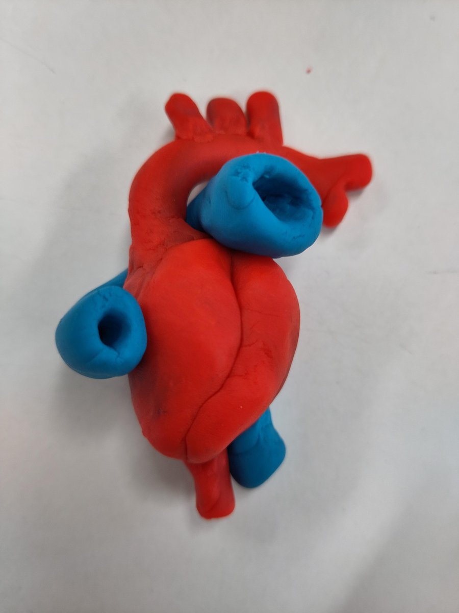 St Anthony's Boys Science tweet media