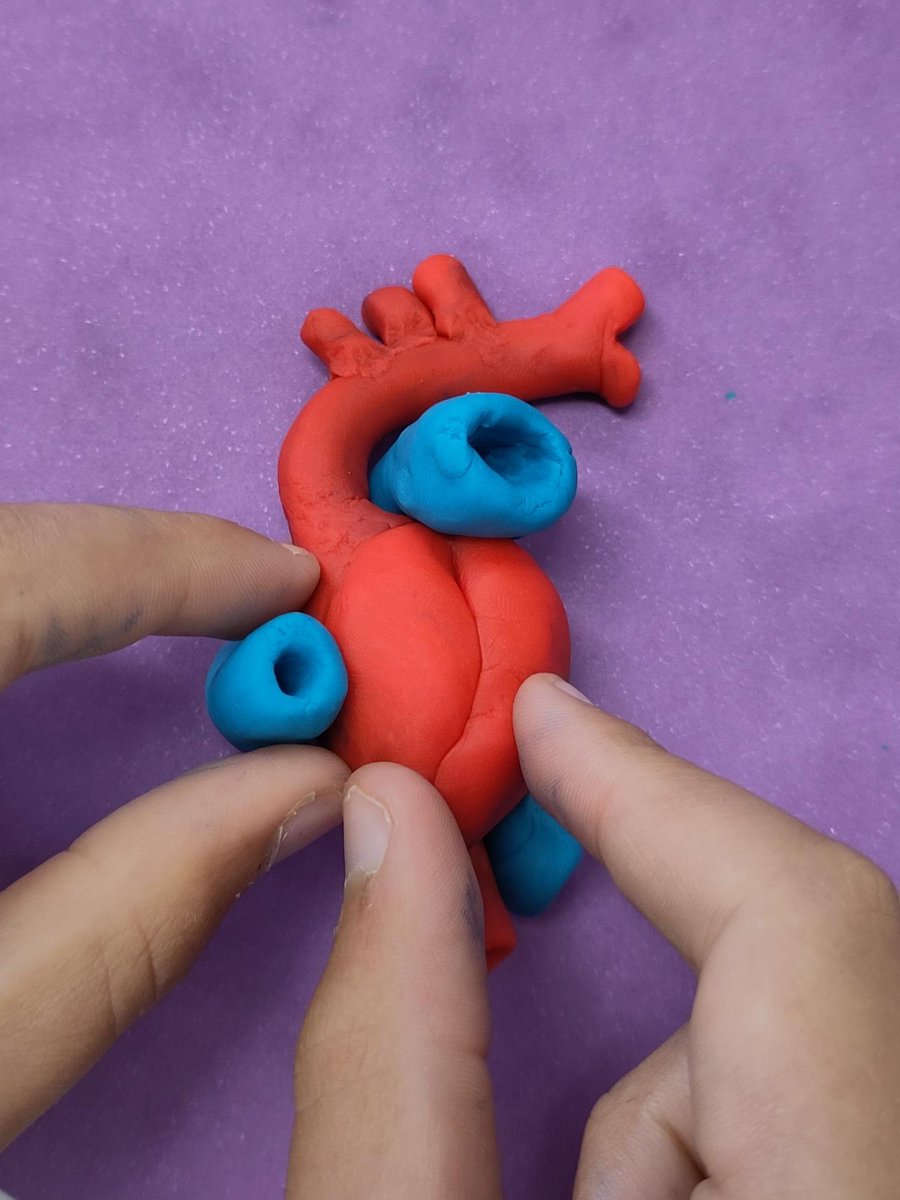 St Anthony's Boys Science tweet media