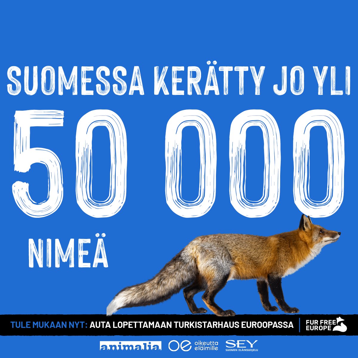 Erinomaisia uutisia: Eurooppalaiseen Fur Free Europe -kansalaisaloitteeseen on tullut maa- ja metsätalousministeri Antti Kurvisen turkishuutokauppavierailun jälkeen niin paljon uusia nimiä, että 50 000 allekirjoituksen raja meni rikki!