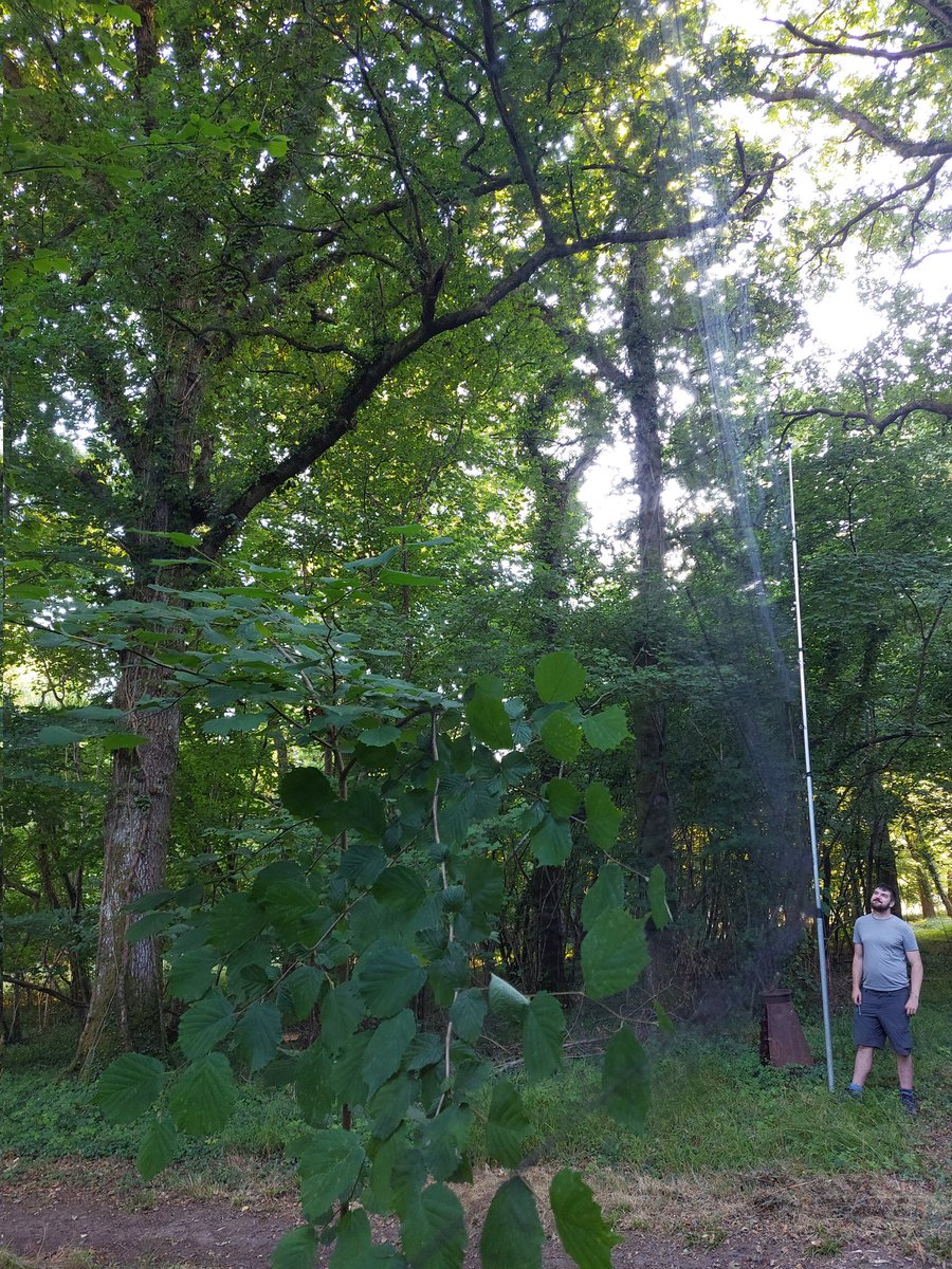 batstothefuture tweet media