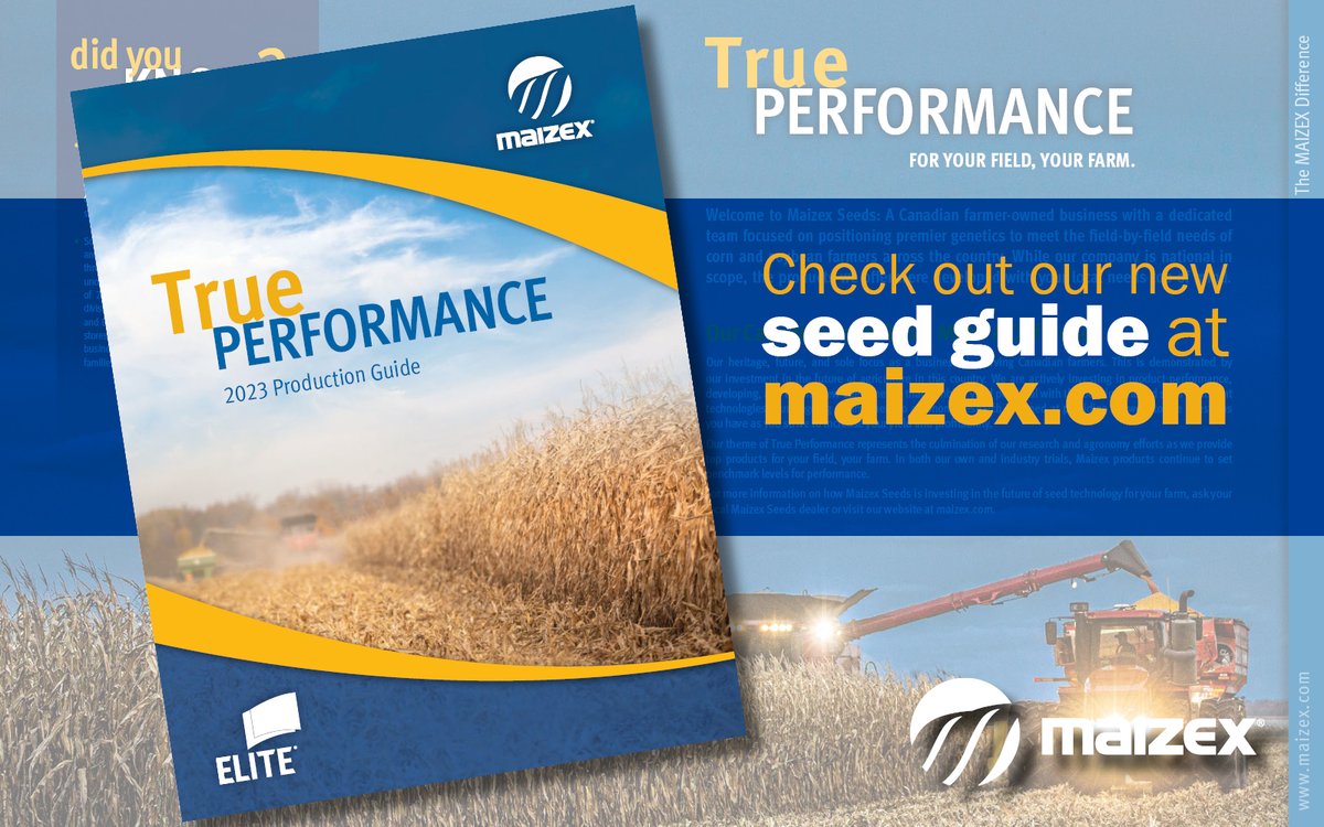 Maizex's tweet photo. Our 2023 seed guide is now available! Find it at https://t.co/VqY4dTI2kR. #TruePerformance #CanadianGrownCanadianOwned #Plant23 https://t.co/tuRQVeCZQ0