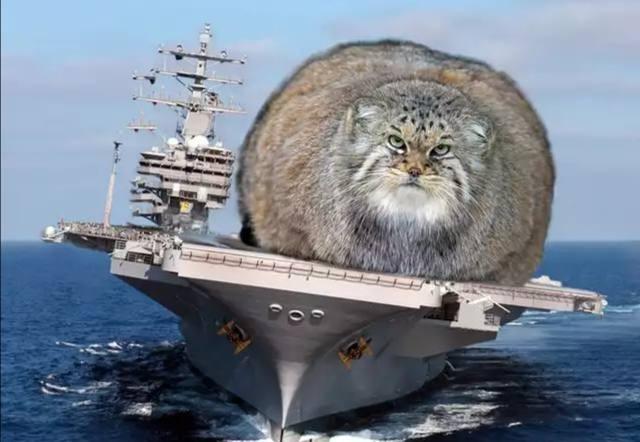 Me personally travelling across the ocean to negotiate an end to the war and put an end to the energy crisis.