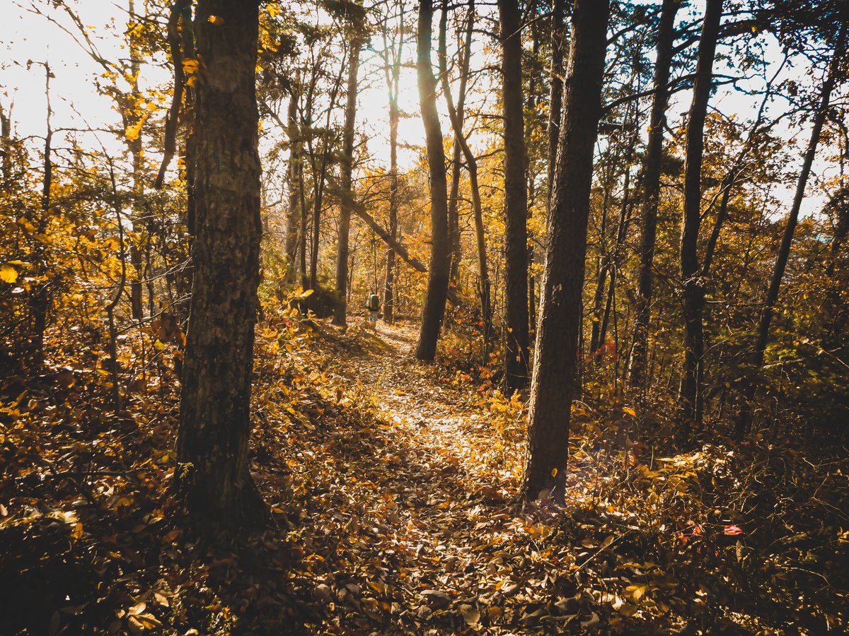 The_OutsideShop's tweet photo. We are headed into the best part of the hiking season. Cooler temps and amazing views make for one very happy marketing intern 😃 https://t.co/B6nmrxZ9Br