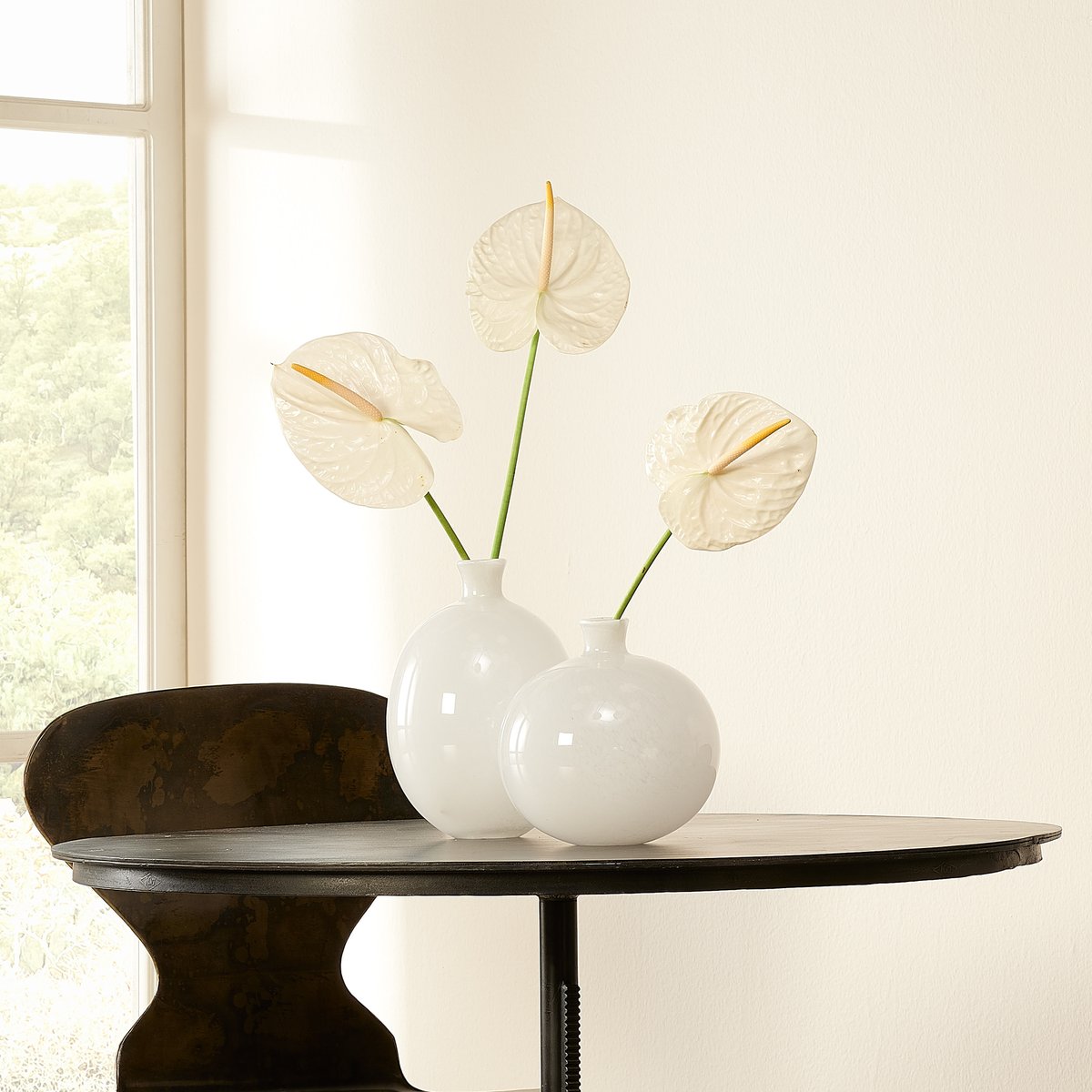 Interiology Design Co. tweet media