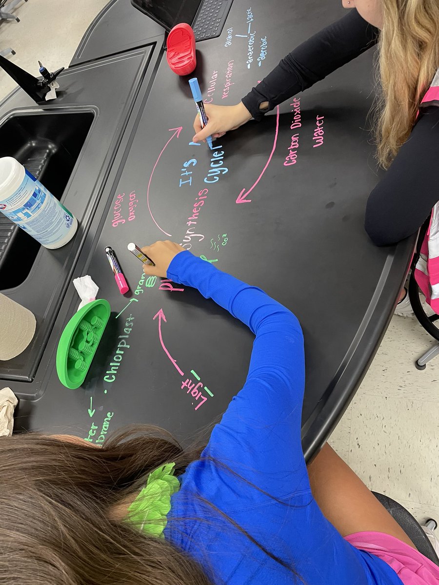 MarcusMrsD's tweet photo. Students used 3-D printed models to visually explore how structure relates to function and demonstrated the interconnectedness of the photosynthesis and respiration. @MHS9th https://t.co/i1jjiayUJ9