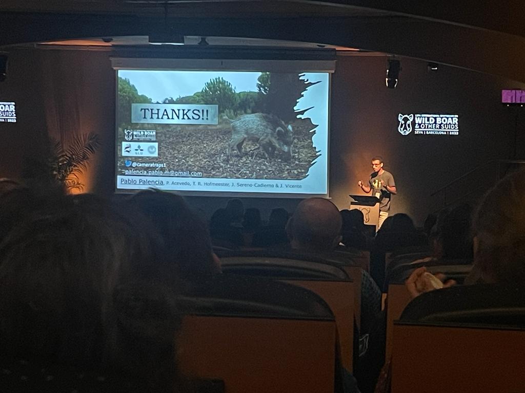 Presentation done! Practical implications for the #EOW 

Great discussion and great talks during the first day. Still many studies to be presented

#wildboar #EuropeanObservatoryWildlife  <a href="/WildBoar2022/">International Symposium on Wild Boar & other Suids</a>