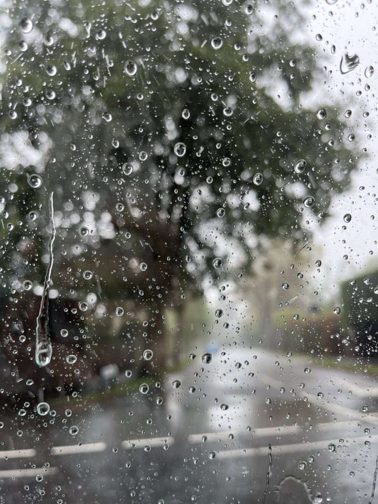 HuttonVictoria's tweet image. Perfect weather for a site visit….