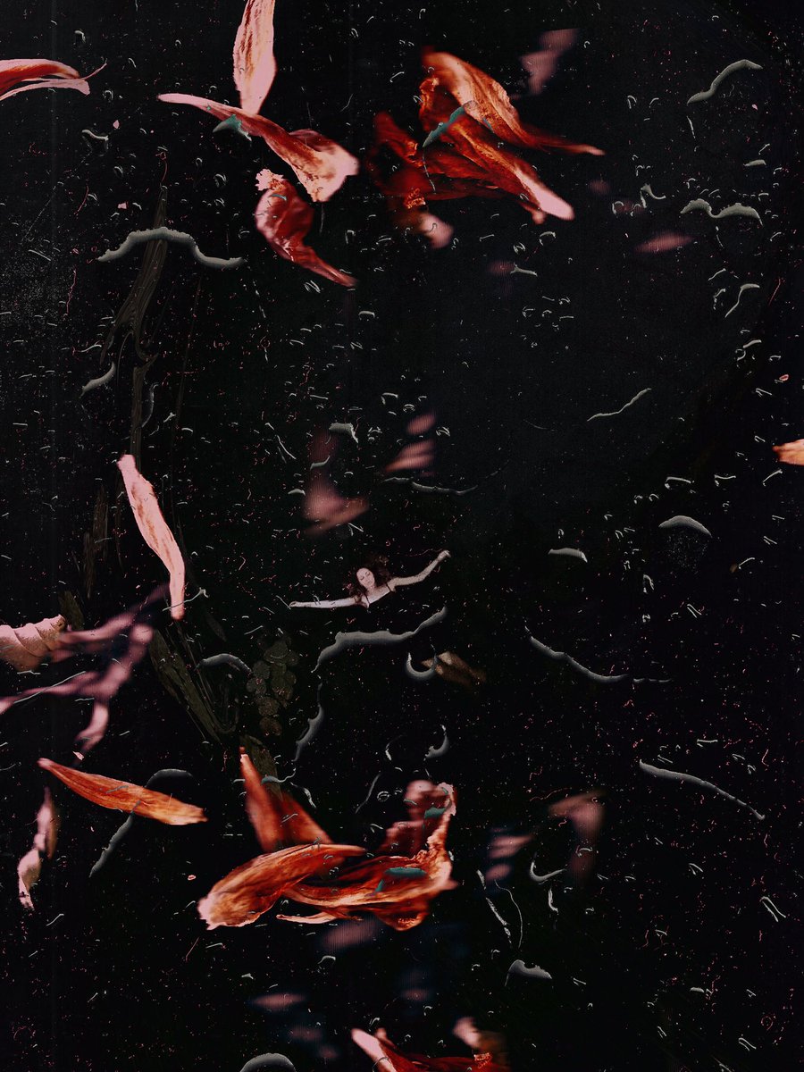 vikadokukina's tweet photo. Yesterday I posted a flower self portrait made on scanner. Today I took my drone photos  and mixed it with scanned flowers. 

I’m in love with this new multiexposure technique 🖤 

#nftart #NFTphotographers #NFT https://t.co/WZ1WfIB0cI
