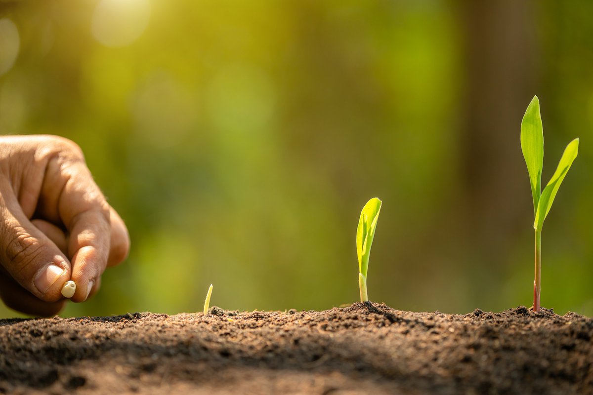 regionetoscana's tweet photo. Agricoltura sociale: bando per l'annualità 2022. Domande entro le ore 13.00 di venerdì 30 settembre 2022: https://t.co/SyRVIKYIul
#PSRToscana #fondieuropei
Il bando rientra nell'ambito di @giovanisi https://t.co/vj1pWYbA54