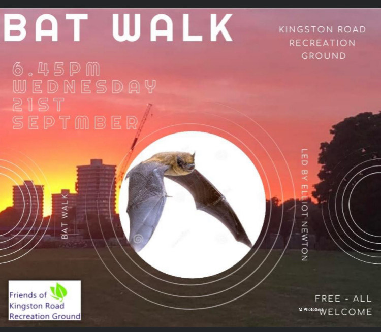 fkrrg's tweet photo. Free #BatWalk at Kingston Road Recreation Ground on 21st September. #norbiton #newmalden https://t.co/Rvul7vXSM8