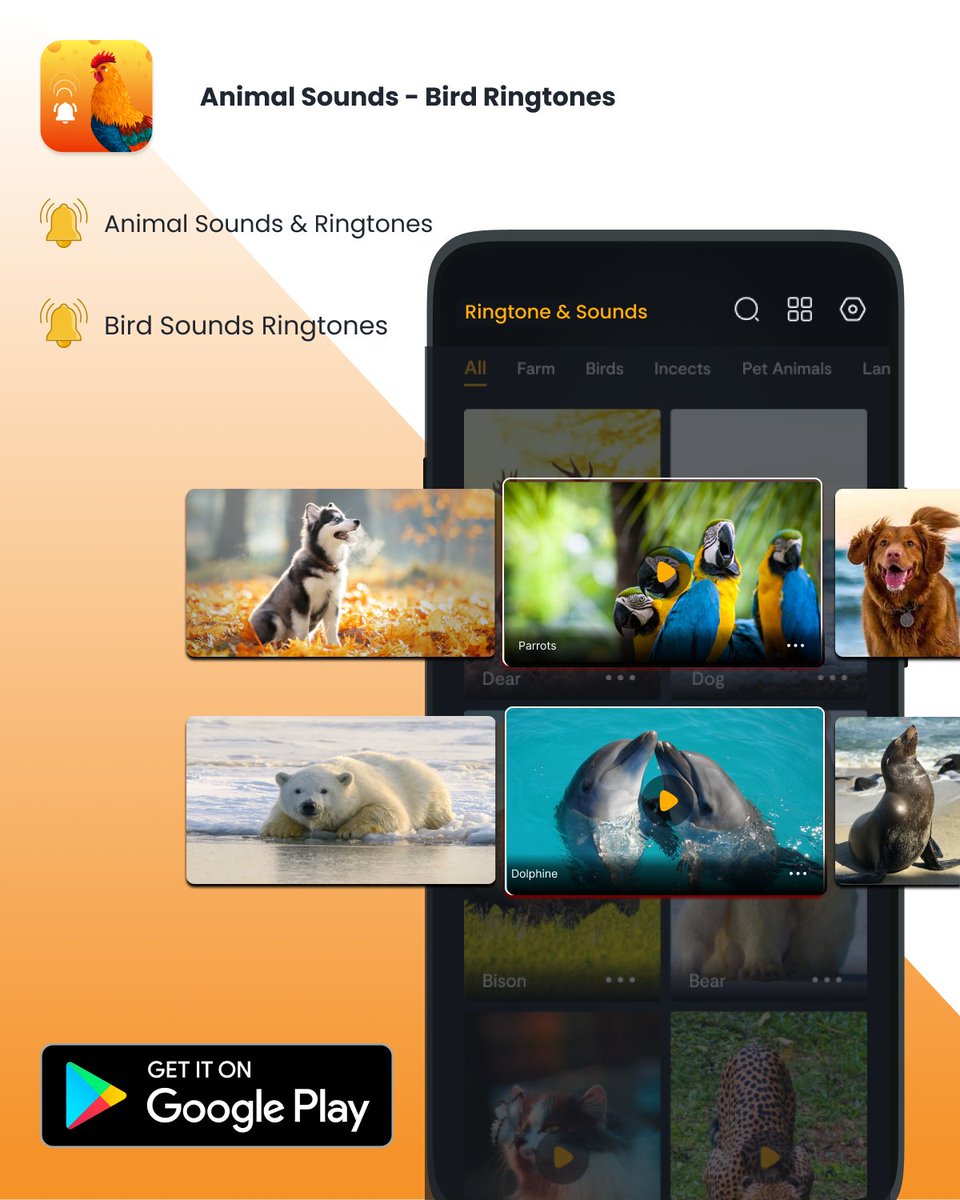 insitego's tweet photo. Set Animal Sounds and Bird Ringtones as your SMS, Call, and alarm notifications
👉Playstore App link: https://t.co/1ZZZeXPTnY

#insitego #animal #ringtones #セツナビ #AppleEvent #MorningJoe https://t.co/9ch0i2ddMG