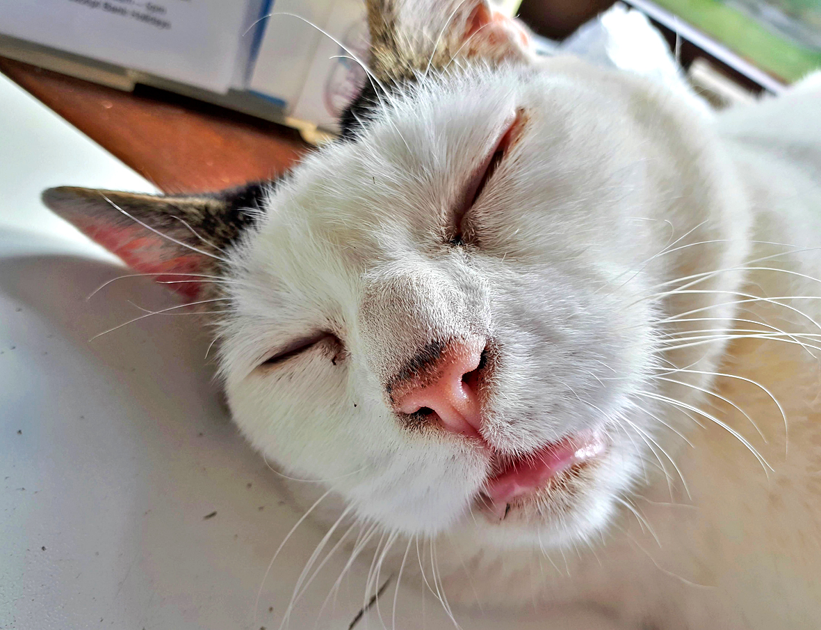 Hayrack Gallery tweet media