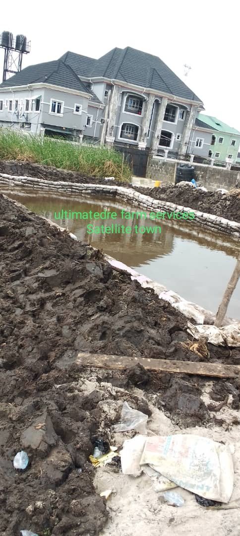 darebanjo6462's tweet photo. I'm always available for consultancy, construction of earthen ponds, catfish seedlings collection, feasibility study and farm set up. https://t.co/HriZmFMdEK