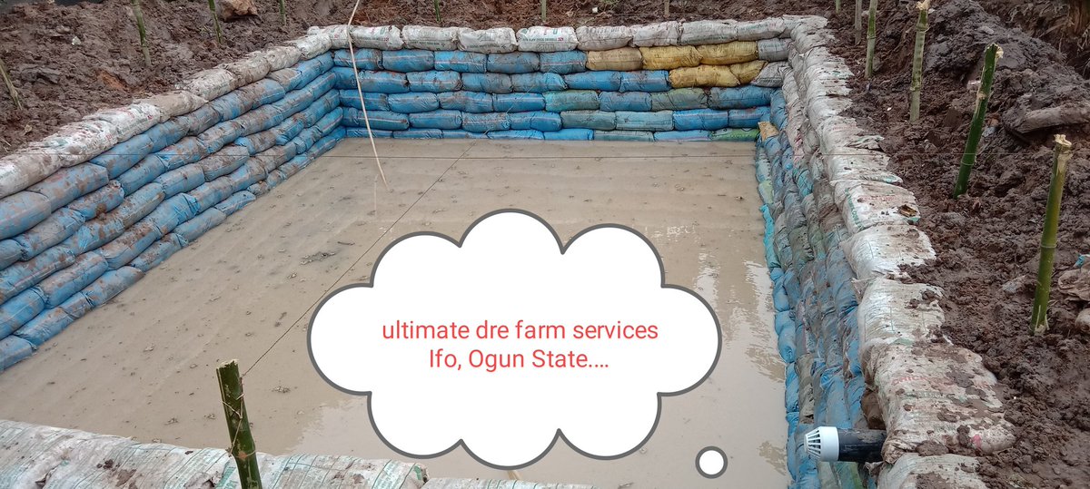 darebanjo6462's tweet photo. I'm always available for consultancy, construction of earthen ponds, catfish seedlings collection, feasibility study and farm set up. https://t.co/HriZmFMdEK
