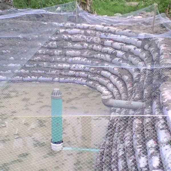 darebanjo6462's tweet photo. I'm always available for consultancy, construction of earthen ponds, catfish seedlings collection, feasibility study and farm set up. https://t.co/HriZmFMdEK