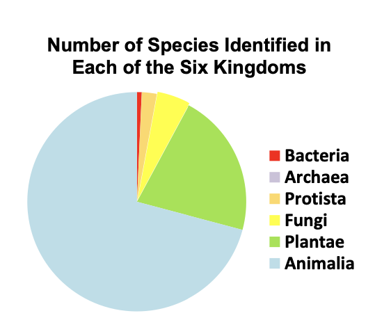 EasyasPlay's tweet image. Did you now that the Animalia kingdom has the most diversity out of the three kingdoms (plantae, fungi)? There are more than one million kinds of species in Kingdom Animalia!

#utkbiobox #biology
@DerryberryLab @ederry1 @UTK_EEB @UTKHerbarium  @VolsTeach 

biologyinabox.utk.edu/unit-6-animal-…