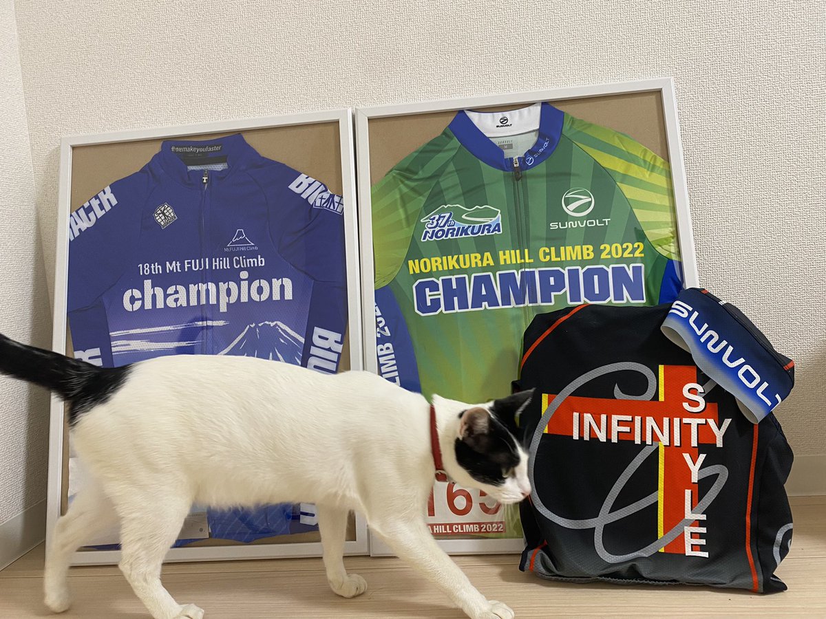 motoharu_sano's tweet image. タンスの奥でぐちゃっとならないように👕

#sunvolt #InfinityStyle #チャンピオンジャージ #猫