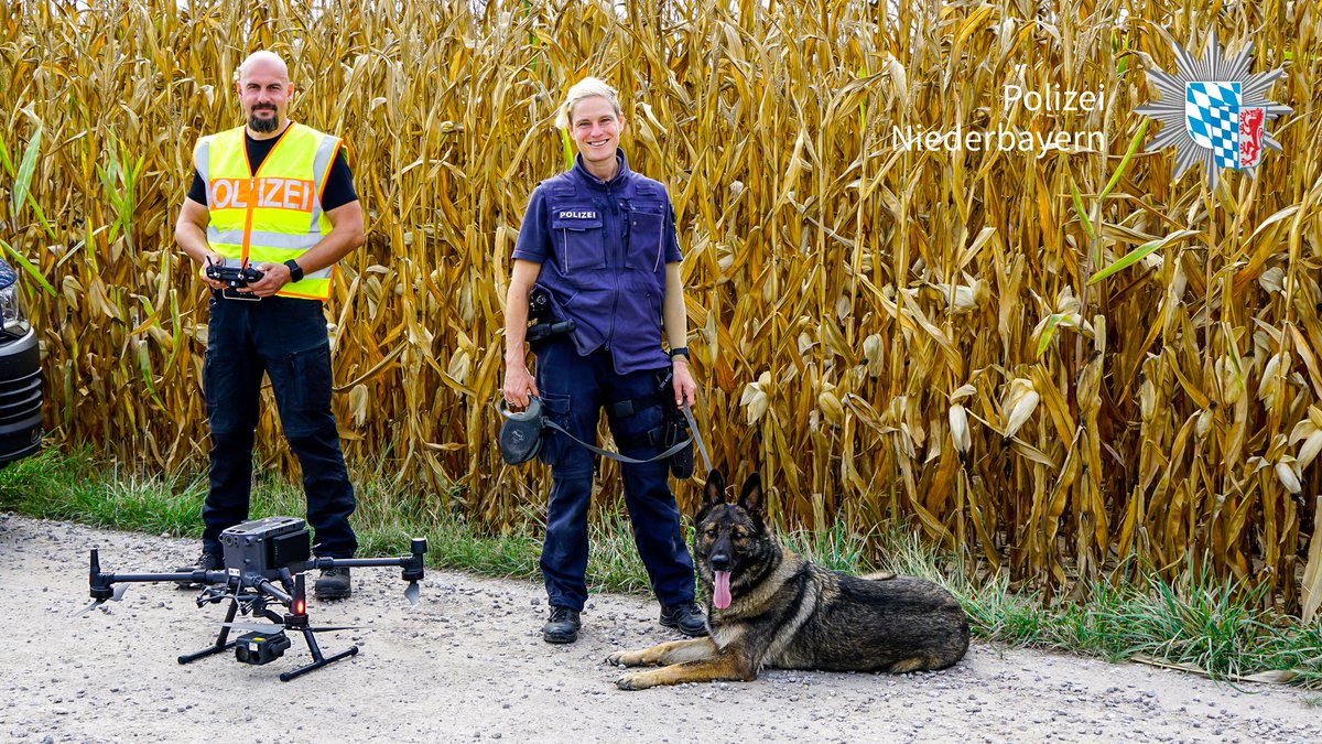 polizeiNB's tweet image. Am Dienstag haben wir bei #Straubing nach Giftködern und getöteten Greifvögeln gesucht. Hintergrund der Absuche: Eine Reihe illegaler Greifvögeltötungen mit dem Kontaktgift #Carbofuran im vergangenen Jahr.

Das Ergebnis der Aktion und weitere Infos hier👇
polizei.bayern.de/aktuelles/pres…