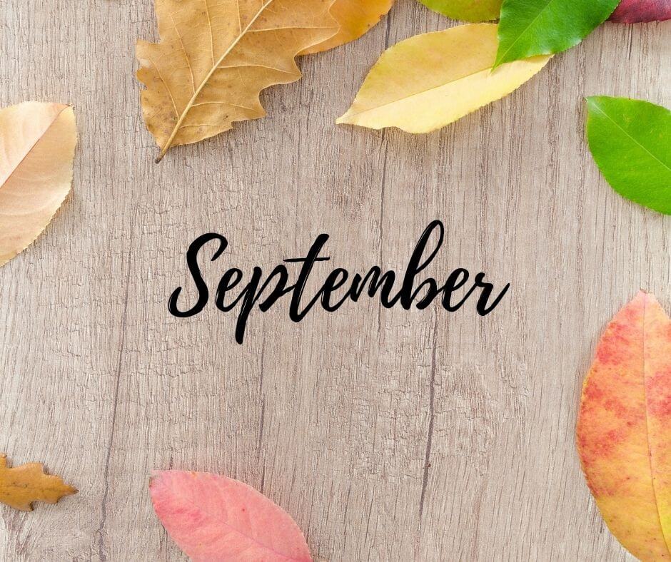coventryresort's tweet photo. We are starting to feel the cooler night air, meaning fall is around the corner - be sure to come out for one last visit before the 2022 season ends! 🏕
https://t.co/QSr3AaXRkL
 #newengland #nudist #vermont #naturist https://t.co/lOAuqfk81M