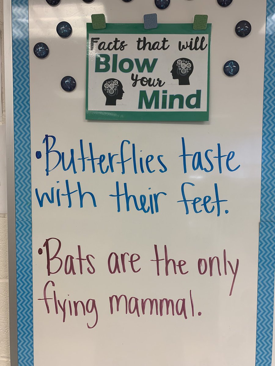 Farmer STEM Lab tweet media