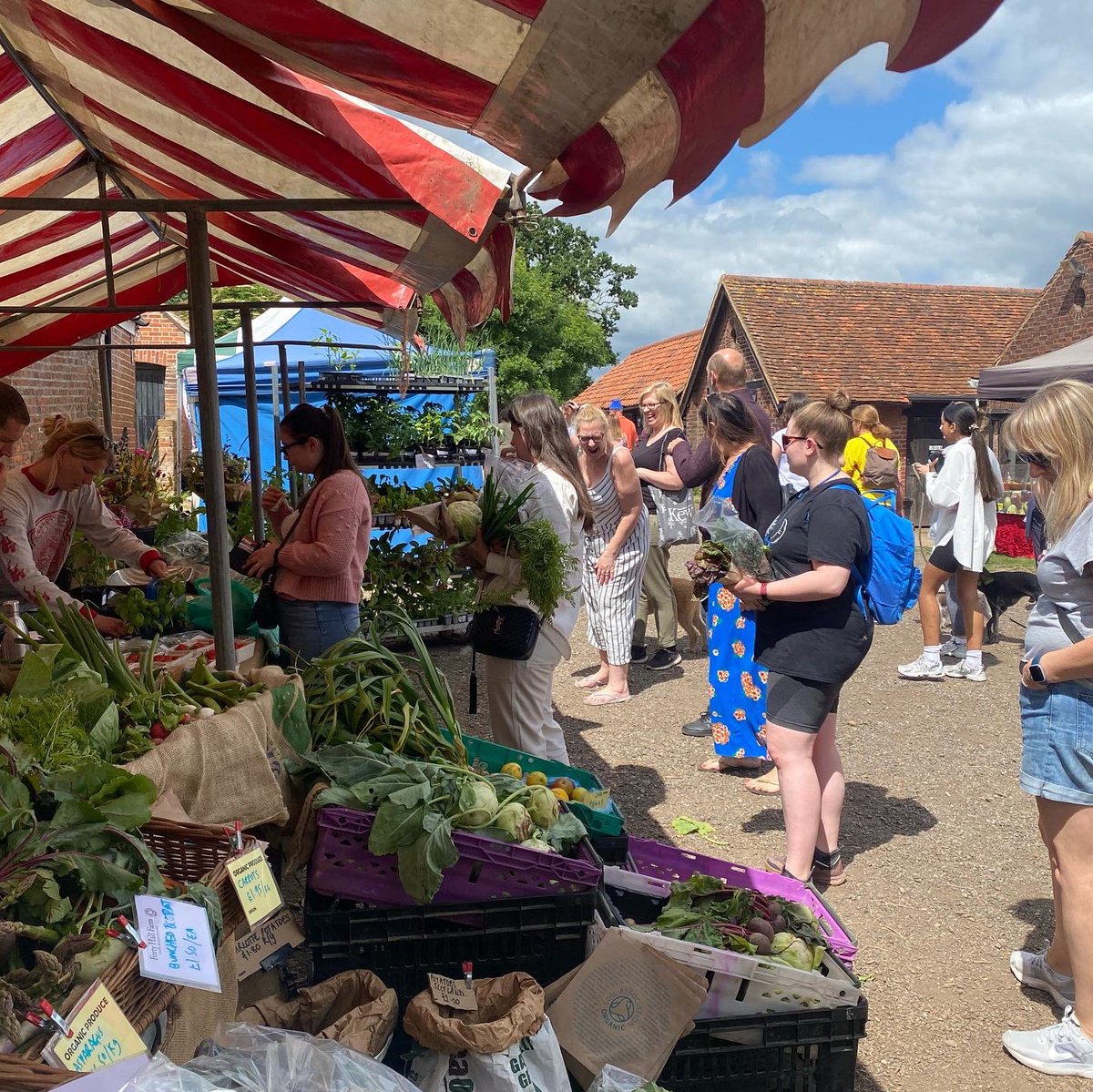Food Gatherer (@foodgatherer) on Twitter photo This Sunday’s market is shaping up nicely - with tours of <a href="/fhvlondon/">Forty Hall Vineyard</a> for #openhousefestival and on the farm streetfood, drink, plenty of seasonal produce and other delicious delights, plus bouncy castle and all the animals of <a href="/fortyhallfarm/">Forty Hall Farm</a> to see too!#fhfmarket #enjoyenfield This Sunday’s market is shaping up nicely - with tours of <a href="/fhvlondon/">Forty Hall Vineyard</a> for #openhousefestival and on the farm streetfood, drink, plenty of seasonal produce and other delicious delights, plus bouncy castle and all the animals of <a href="/fortyhallfarm/">Forty Hall Farm</a> to see too!#fhfmarket #enjoyenfield