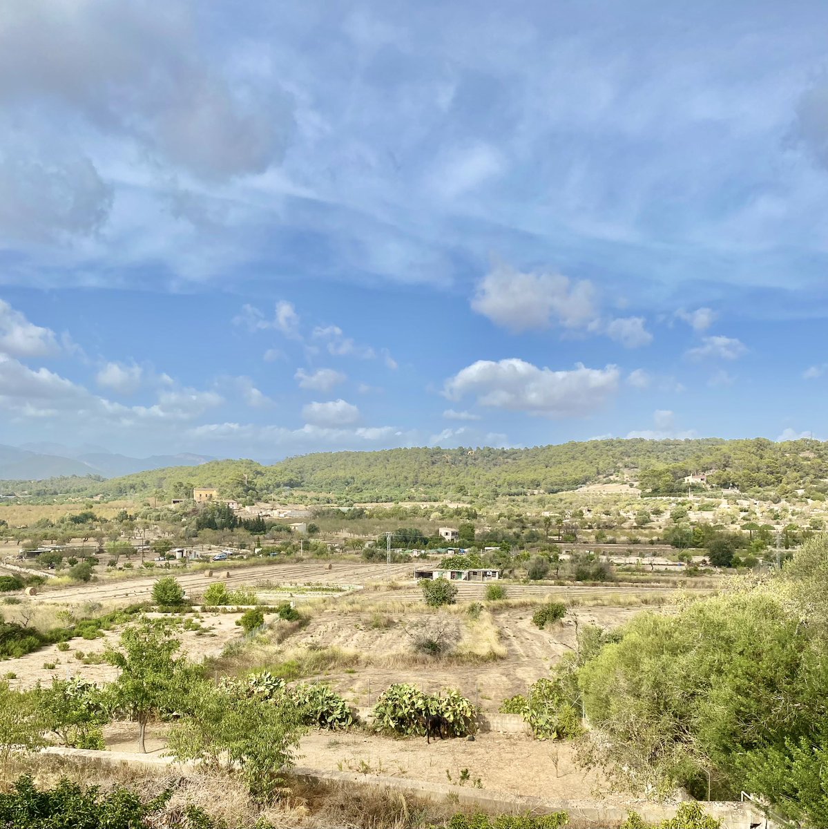 ANicholasAuthor's tweet photo. This is a view from #portol an authentic village famous for its pots & ‘Ruta de fang’ - the mud route. I often visit for handmade crockery & terracotta planters. Worth popping by if in #mallorca especially for the pottery museum & to buy a handmade siurell whistle 😍👌 https://t.co/SnWeW7cmSw