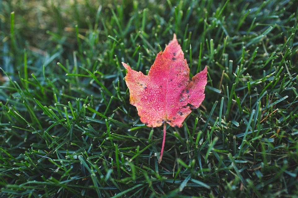 EdwardCreagan's tweet photo. Here in the upper Midwest, winter is on its way and the alert and the prepared now get the car serviced, tires and fluids checked, and find the ice scrapers buried in the back of the SUV.

Read more 👉 https://t.co/HWlrujDjWe

#september #readyforwinter #winter #lifeisdifficult https://t.co/FtKBqKAHrs