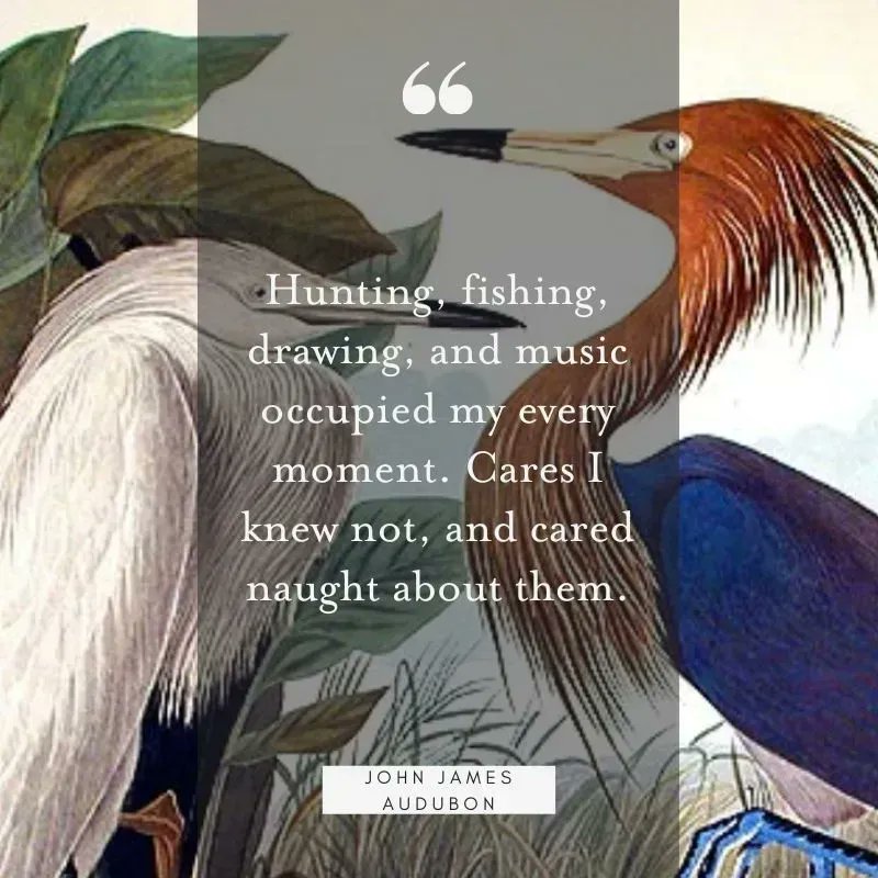 monalovesgustav's tweet photo. Words of Wisdom brought to you by #JohnJamesAudubon this Wednesday. What's Your ArtDNA®? Take the Quiz at https://t.co/6NLYy10Olg and tag us @monalovesgustav 
 #MLG #ArtDNA #Artoftheday #summer #wordsofwisdom#Wednesdayvibe #wednesdaythought #art #love #happy #smile #life https://t.co/cimEE1MyrS