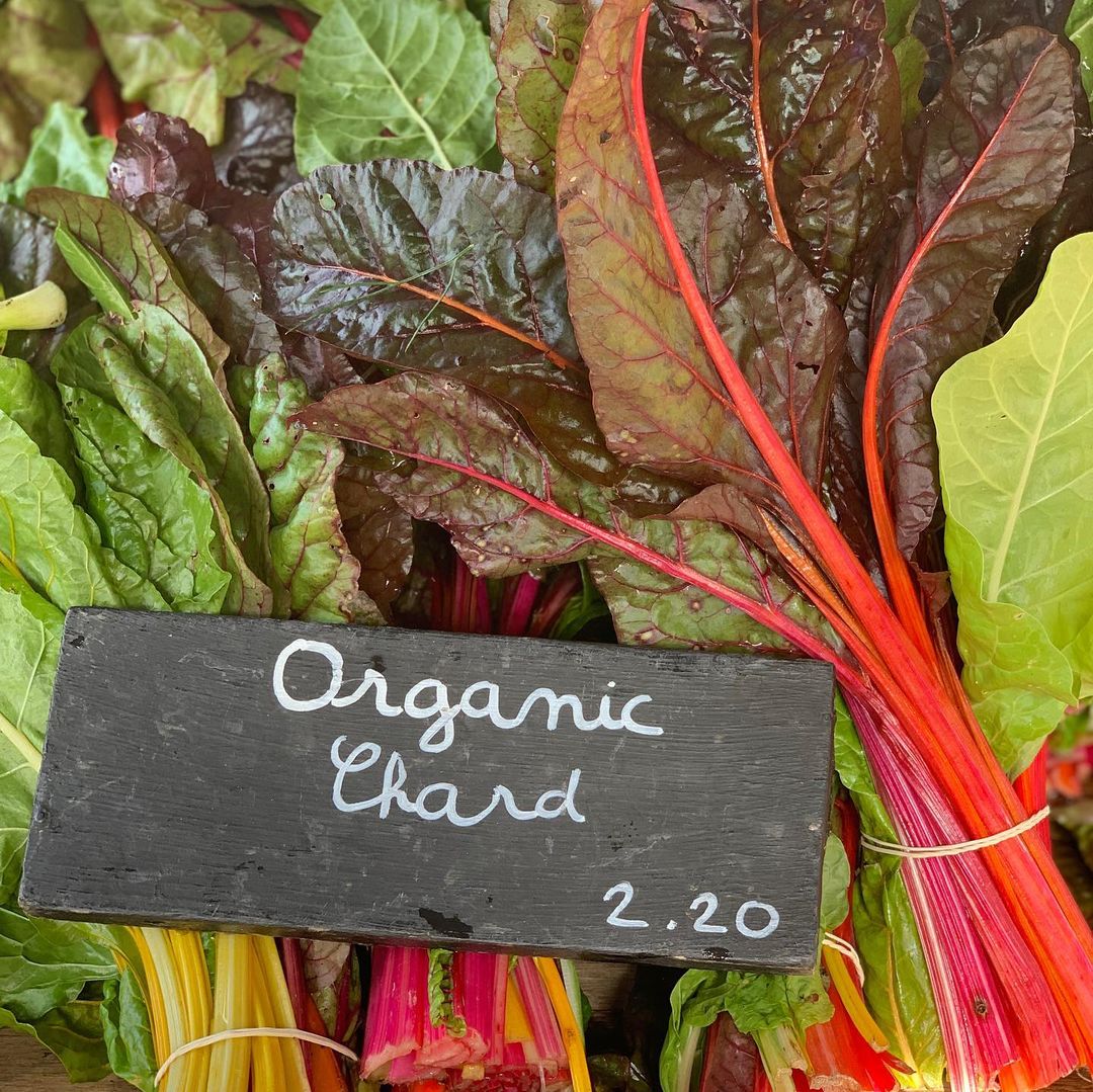 Portobello Schoolyard tweet media