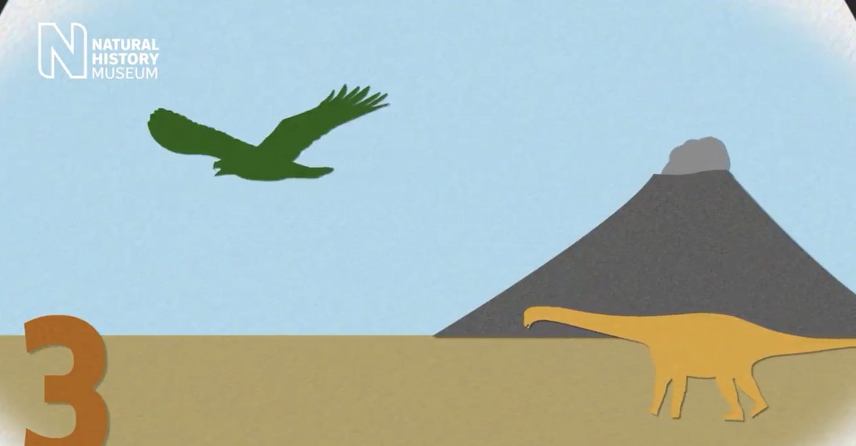 EasyasPlay's tweet image. Did you know that birds are the only dinosaurs that survived? This could be because of their either their small size, diverse diet, or ability to fly! 

#utkbiobox #easyasplay #dinosaur
@DerryberryLab @ederry1 @UTK_EEB @UTKHerbarium  @VolsTeach 

nhm.ac.uk/discover/why-a…