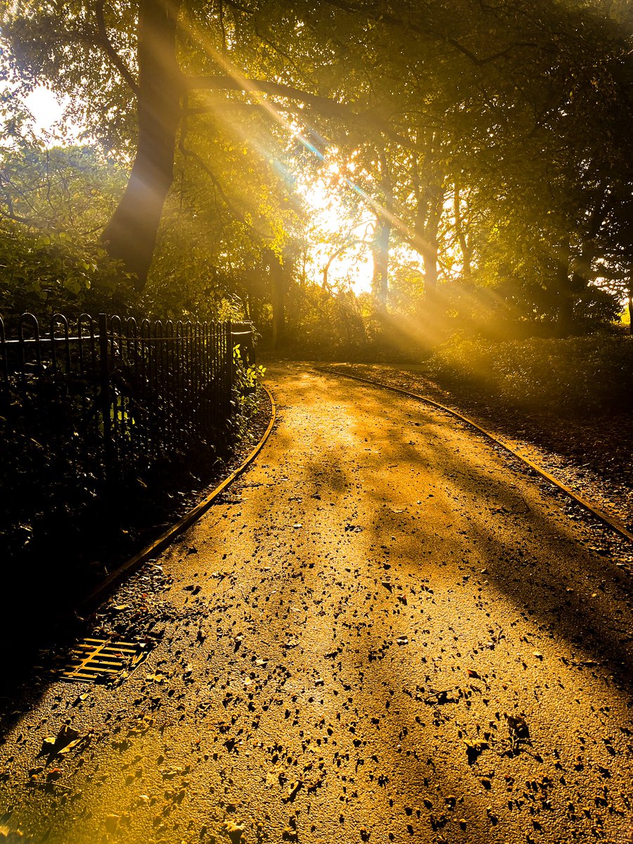 @stanleypark_liv looking all magical this morning #Photography #Photo #Liverpool #LifeInPhotos #JenMercer #Camera #Canon #LiverpoolPhotography #Nature #NaturePhotography #LiverpoolParks #StanleyPark #Morning