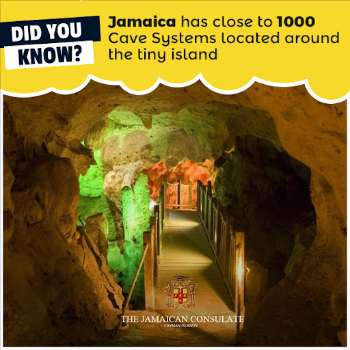 Jamaicaconsular's tweet photo. Did you know Fact

#thejamaicanconsulate #visitjamaica #caymanislands #explorejamaica #jamaicancave #richhistory https://t.co/df0pl2S5PU