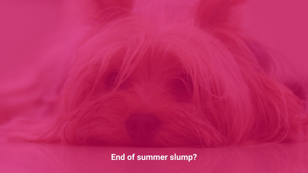 Do you get the end-of-summer blues? This can be a challenging season as we say goodbye to summer and transition into new routines and cooler weather. Our latest 5 Things newsletter includes some tips on how to look forward to the seasons ahead.

5 Things:
mailchi.mp/clevergirlmark…