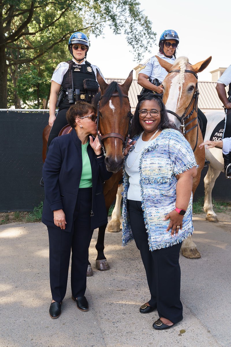 The National Mall tweet media