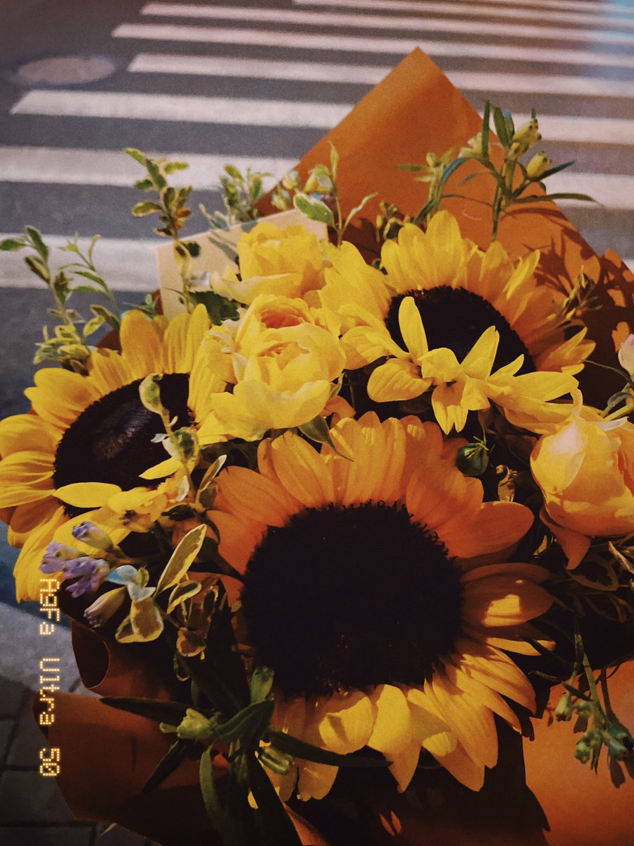 Hannah1005_'s tweet photo. The beauty of the flowers represents all my blessings. https://t.co/aapQ9ZiGPY