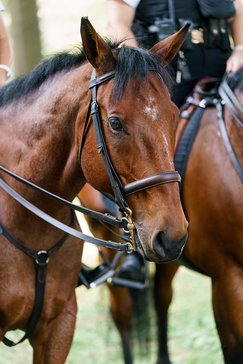 The National Mall tweet media