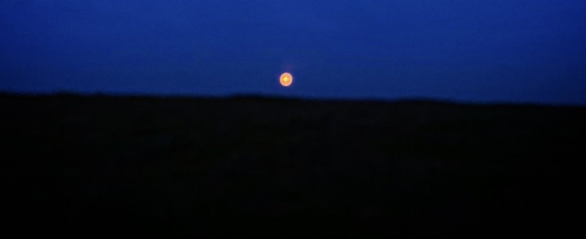 August moon, #lakedistrict #cottontail #lilyfranky #ryonishikido #nishikidoryo #taekimura #yuritsunematsu #ciaranhinds ⁦@WestEndFilms_UK⁩