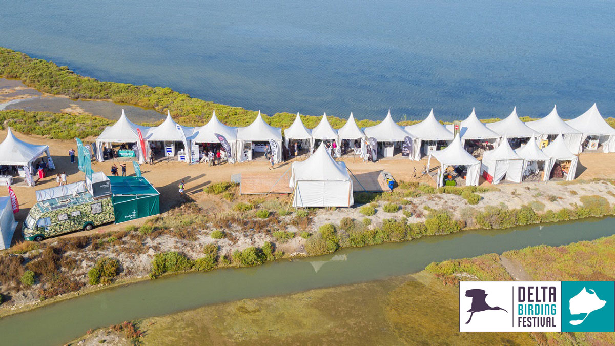 Amposta · Delta de l'Ebre tweet media