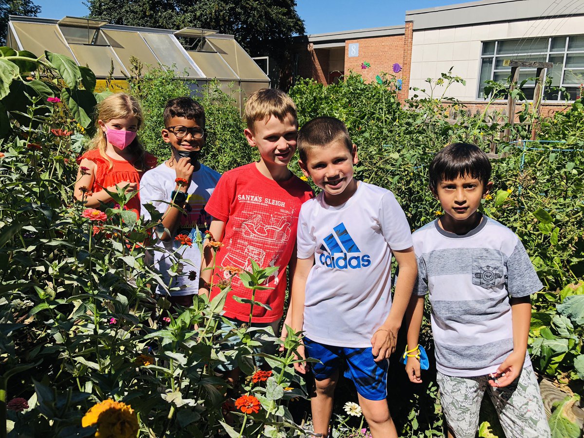 TESschoolyard's tweet photo. 🐢2nd grade Sliders picked 18lbs of tomatillos/tomatoes from our garden to donate to local food pantries! We grow in so many ways in the garden! Thanks FOUA &amp; AFAC! #community #giveback #plotagainsthunger #TuckahoeRocks @2ndgradesliders @TuckahoeSchool @ArlingtonFOUA @AFACfeeds https://t.co/kgjHfp98Zw