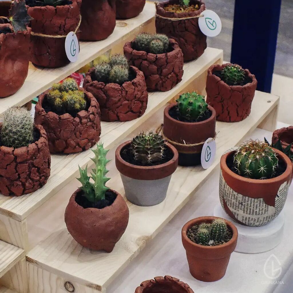 grinkana's tweet photo. Heeey yoooooo...
Keep smile kawaaand...!!!
.
#cacti #cactus #kaktus #terracotta #pottery #indoorplants #urbanplanting #homedeco #greenerydecor #gift #souvenir https://t.co/eKU42oeUaa