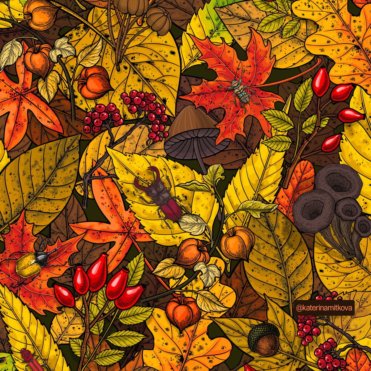 katerinamitkova's tweet photo. Autumn is coming…
#spoonflowerfabric #spoonflower #fabric #fabricdesign #fabricdesigner #pattern #autumnmood #autumnpattern #autumnbotanicals #autumnleaves #floralpattern #botanicalpattern #print #vectorpattern #floralvector #patternlove #teepublic #Society6 #zazzle #redbubble https://t.co/80rsIcBN7u