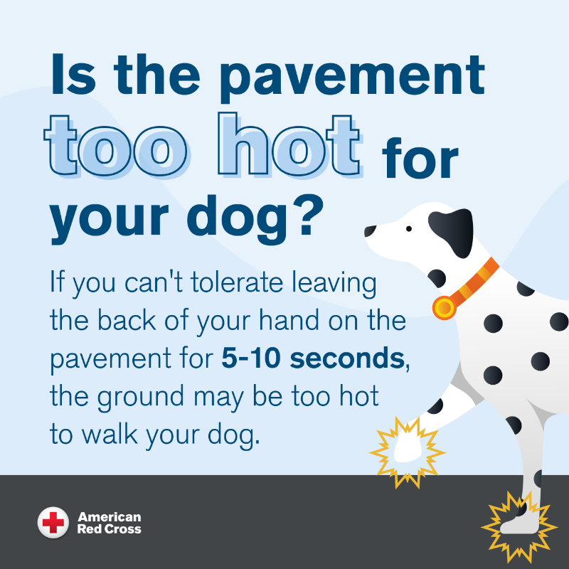 RedCross's tweet photo. If it's too hot for you outside, it's most likely too hot for your pets, too! Here's how to know if it's safe to walk your pets outside during a heatwave. 👇🏾