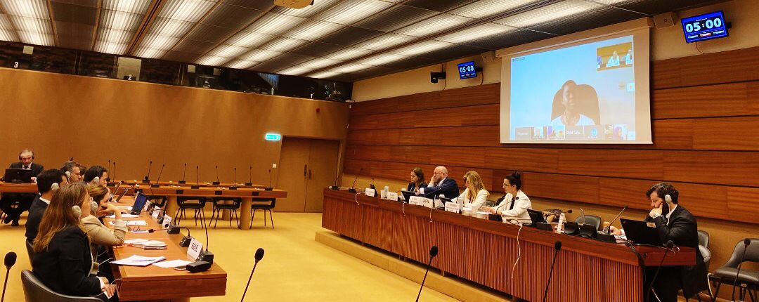 Notre déléguée rwandais🎙"Elizabeth" participe actuellement à une table ronde avec l'organisation des Nations Unies, y compris le comité d'experts, sur le thème : Les meilleures pratiques pour la participation significative des enfants dans l'élaboration des politiques.