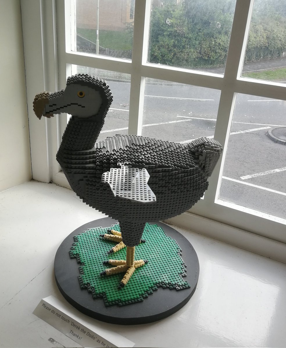 A surprise find at Andover. Museum. Derek the Dodo.